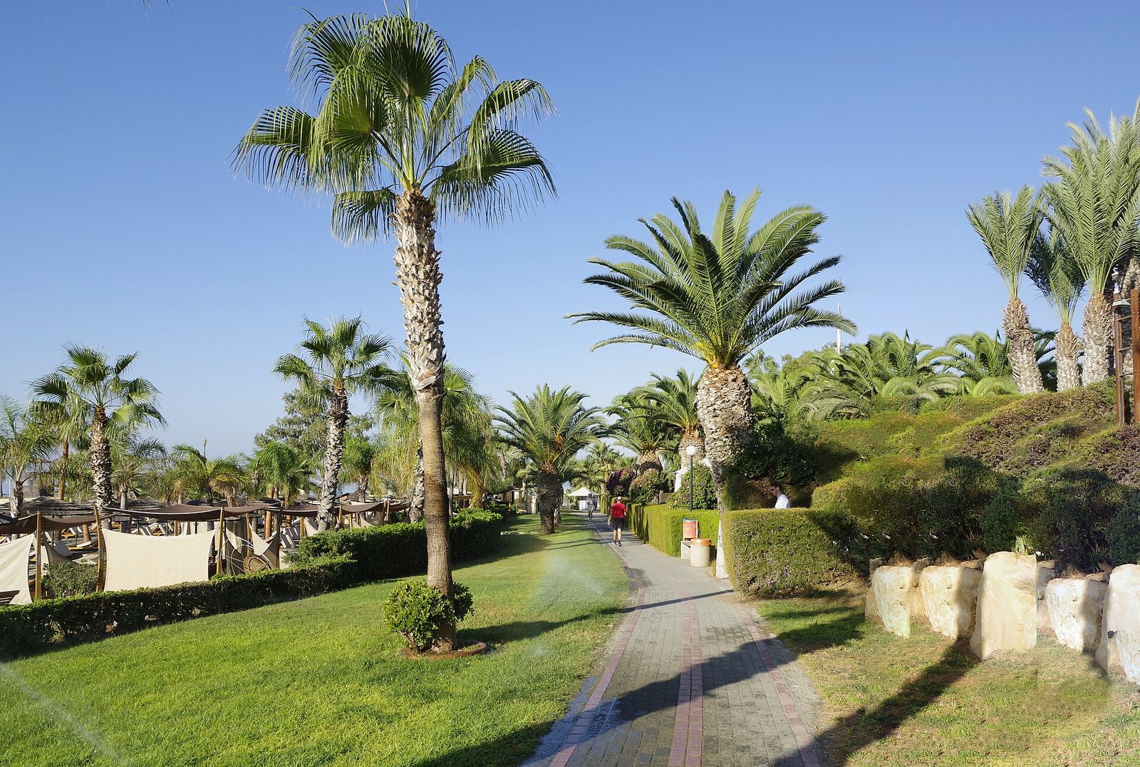 Palms and gardens along the landscaped seafront promenade of Limassol, Cyprus