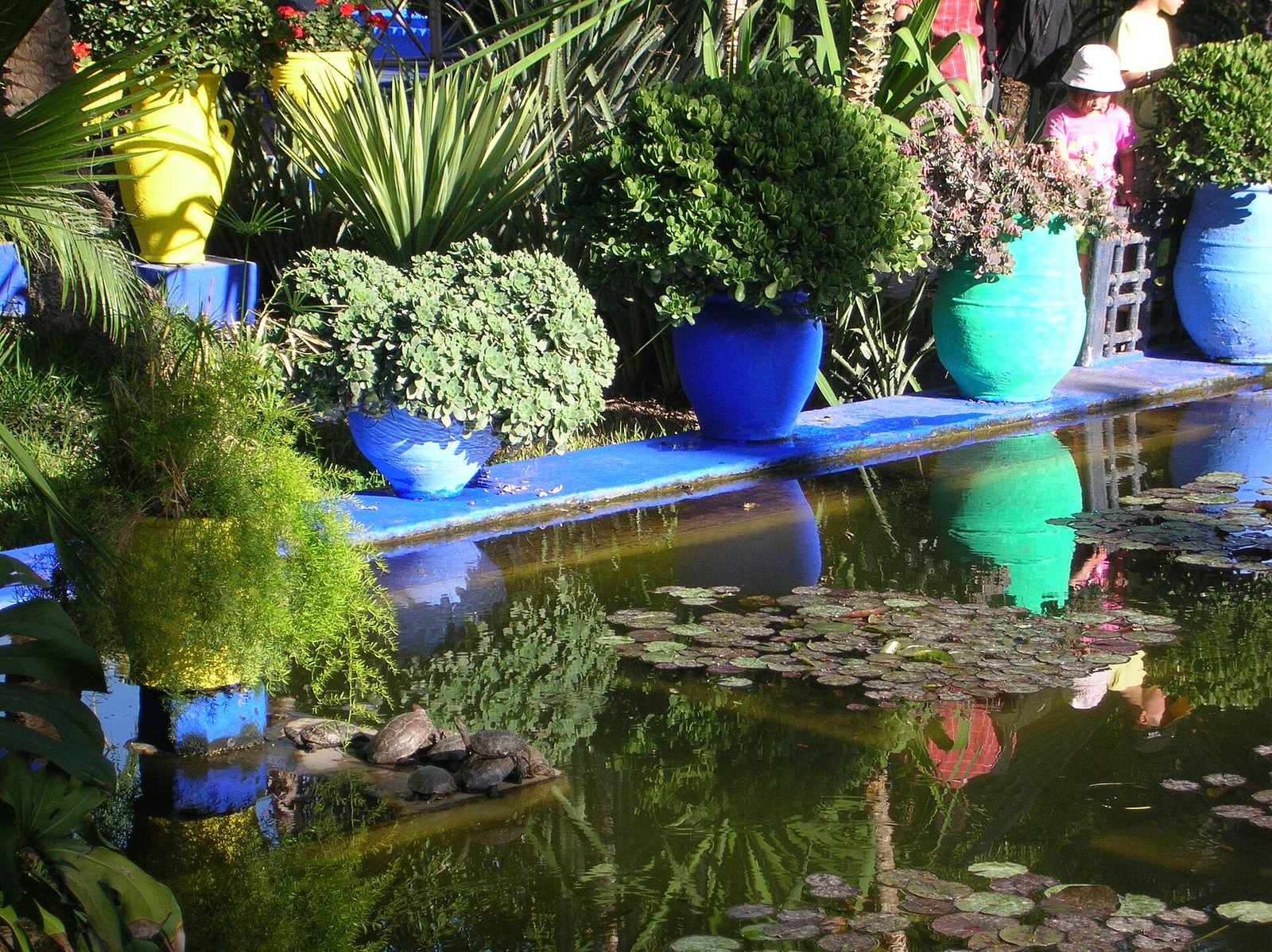 Cobalt and turquoise pots line a lily pond among lush plantings in the Jardin Majorelle, Marrakech.