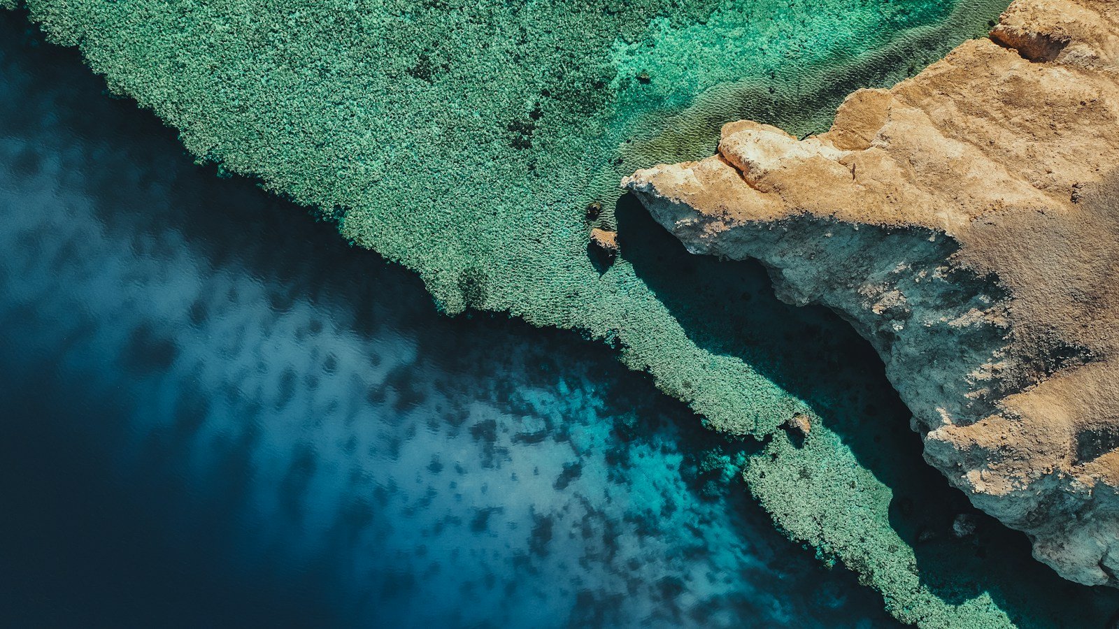 Turquoise reef shallows meeting the deep blue of the Red Sea off NEOM