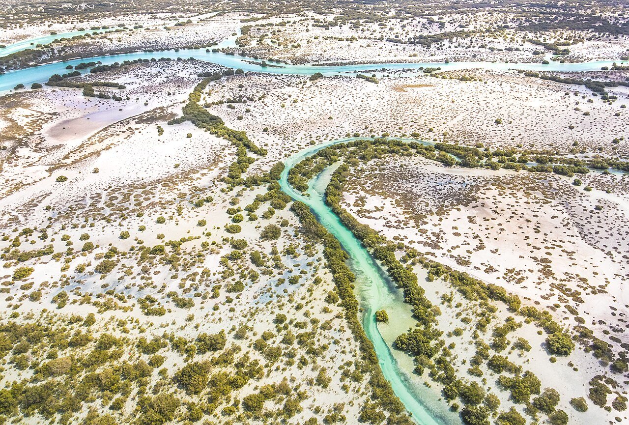 Turquoise channels winding through the mangroves and white sands of Saadiyat Marine National Park, seen from above.