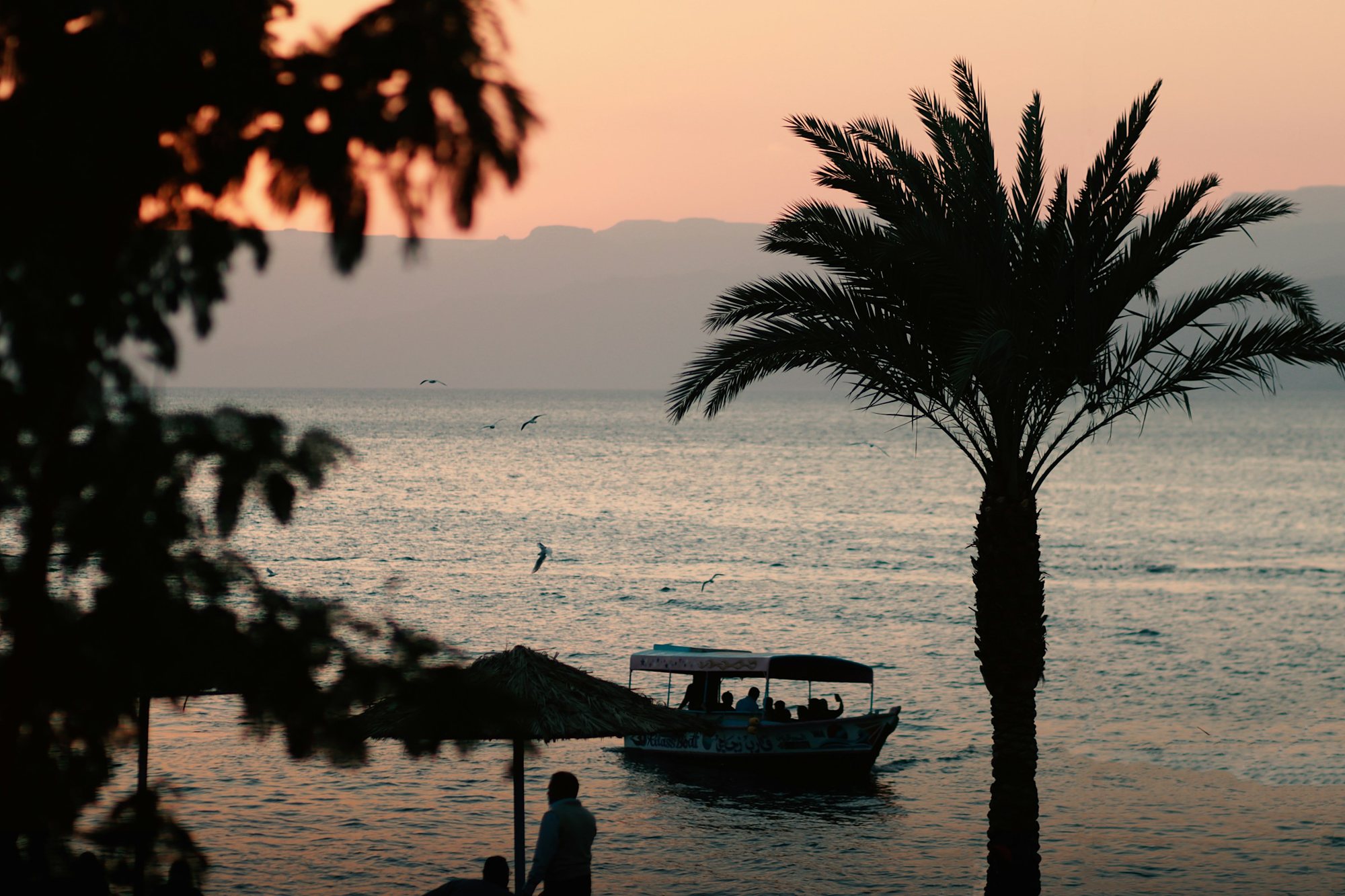 A boat on the Gulf of Aqaba at sunset, framed by palms
