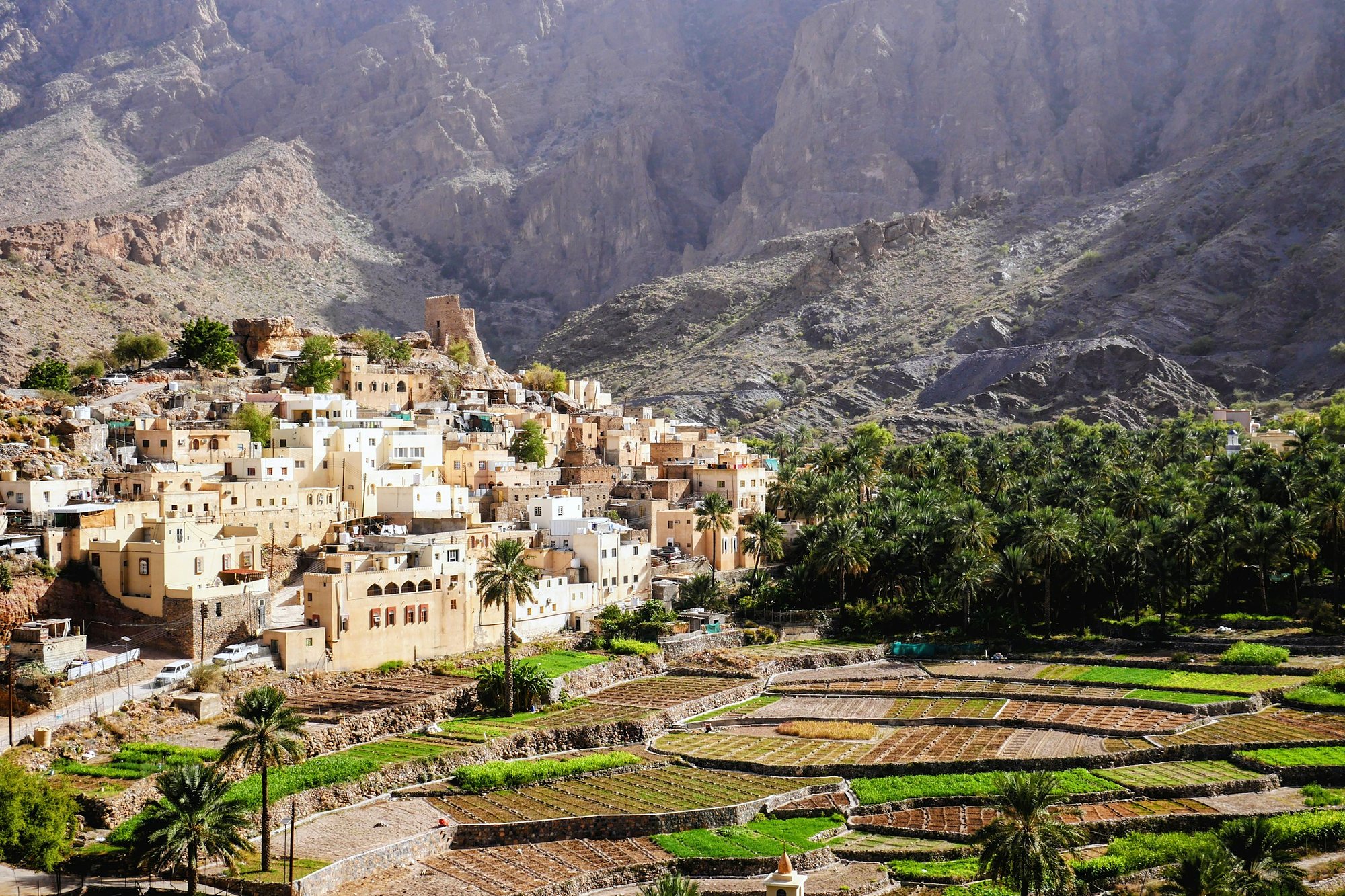 A stone village above terraced fields and palms in the mountains of Oman