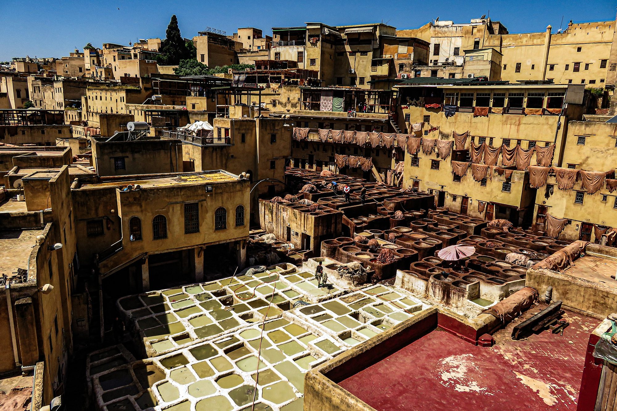 The Chouara tannery dye pits in the medina of Fes