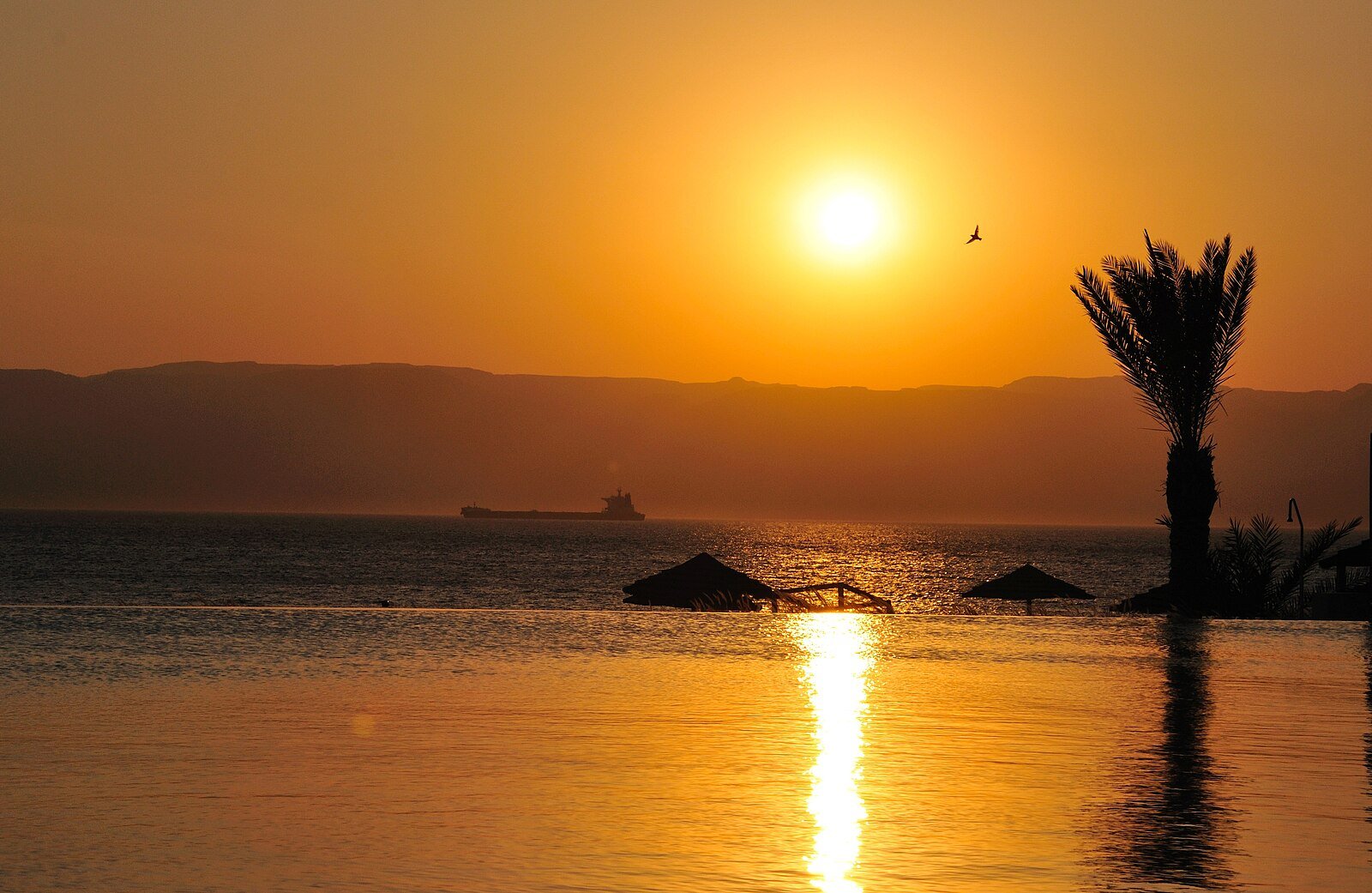 The sun setting over the Gulf of Aqaba at Tala Bay, with a palm and thatched parasols silhouetted on the water.