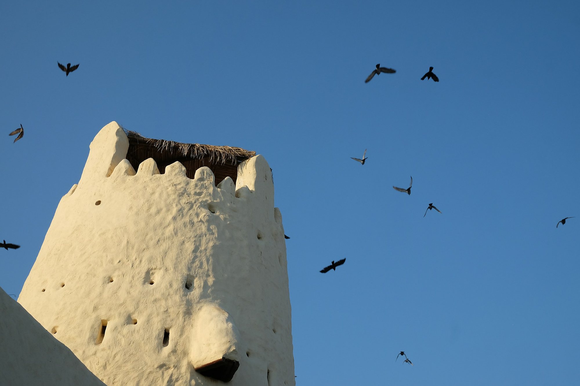 Birds circling a white watchtower of the old fort, Umm Al Quwain