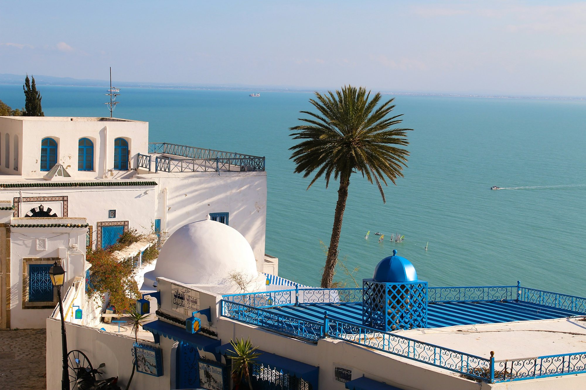 Blue-and-white terraces and a palm above the Gulf of Tunis in Sidi Bou Said