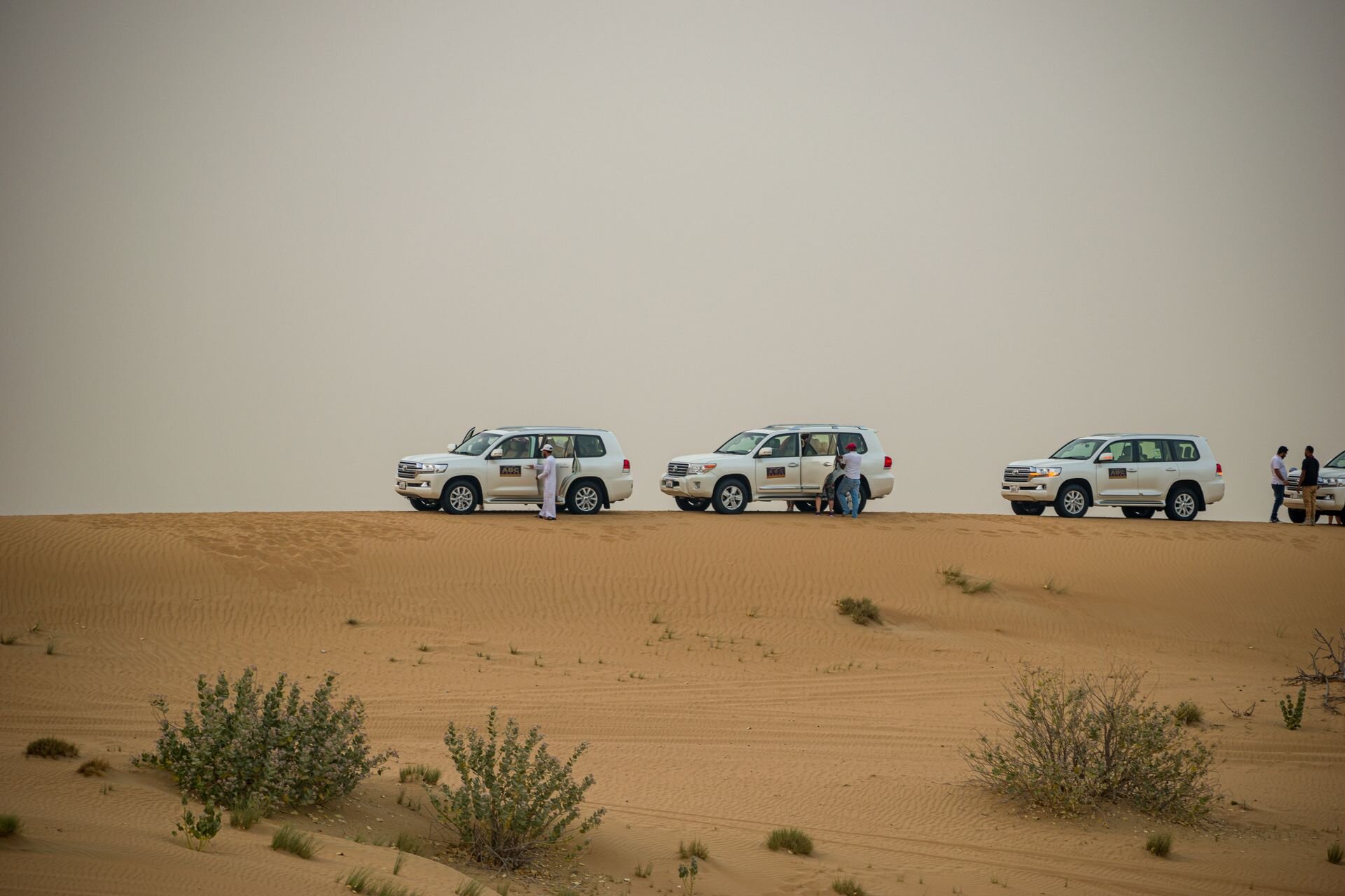 Safari 4x4s lined up on a dune ridge in the desert outside Dubai