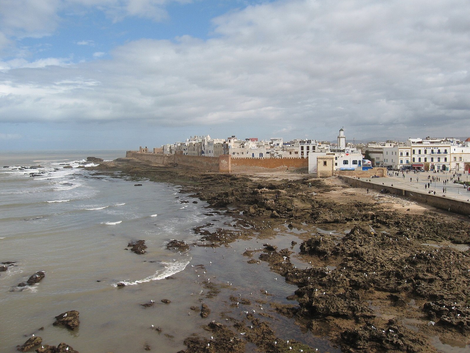 The whitewashed medina and sea ramparts of Essaouira rise beyond the rocky Atlantic shore.
