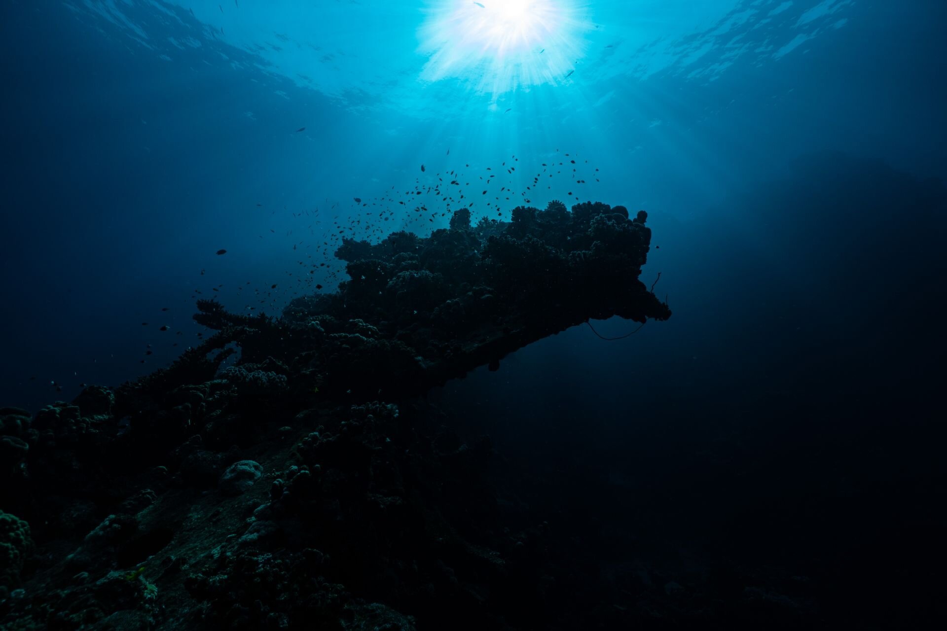 Sunlight falling on a coral reef in the Saudi Red Sea