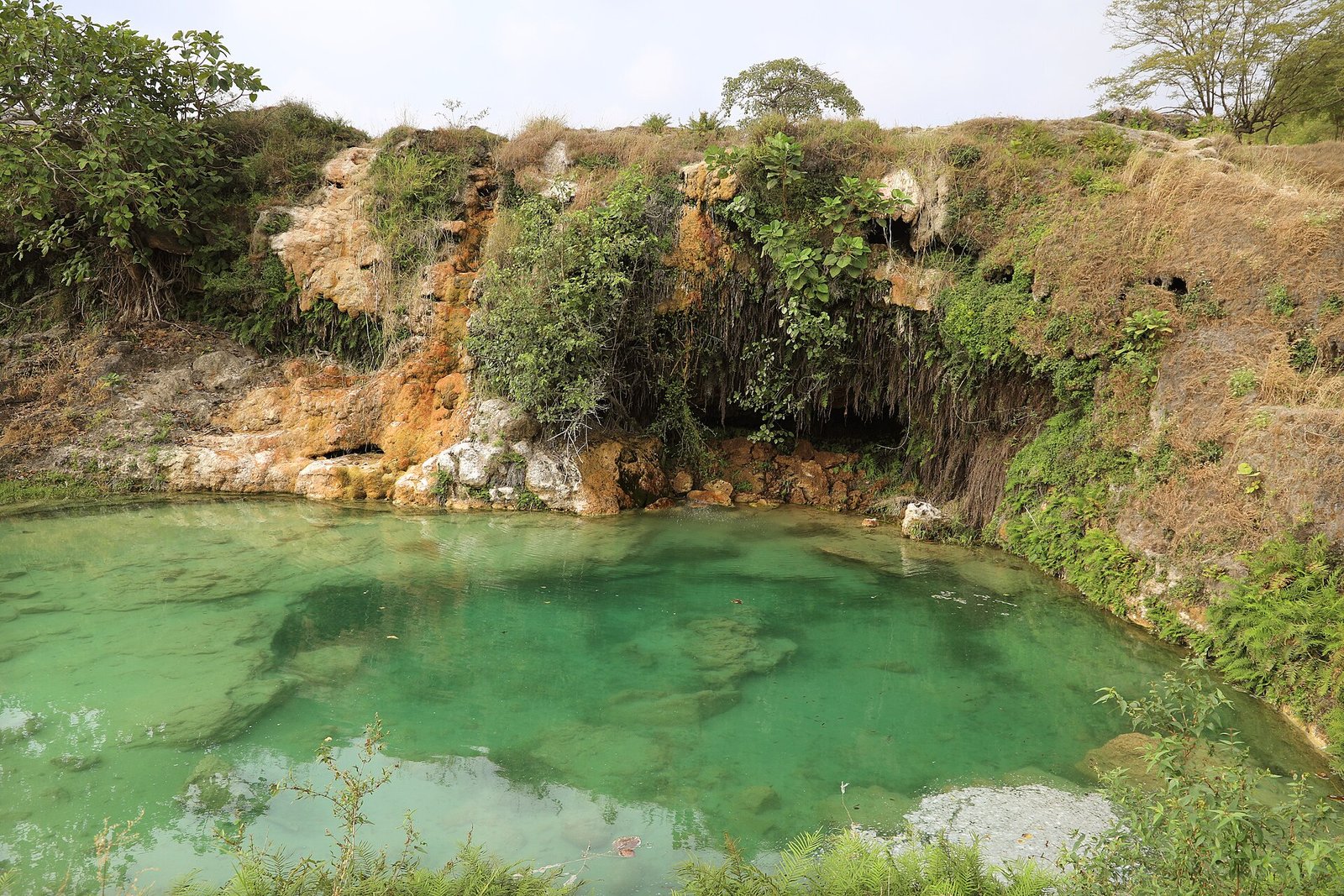 A jade-green pool beneath travertine cliffs and greenery at Wadi Darbat, near Salalah in Oman.
