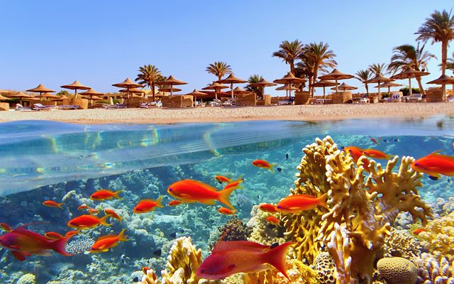 Nujuma, a Ritz-Carlton Reserve