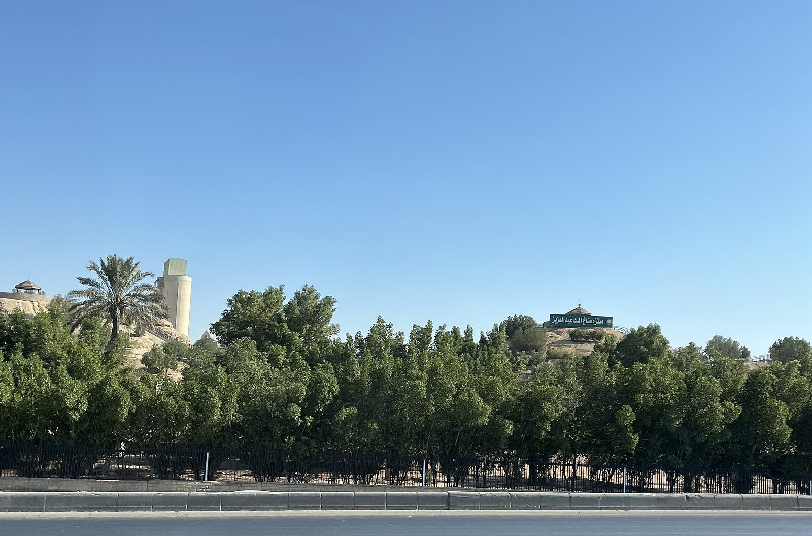 Tall trees and palms lining the lawns of King Abdulaziz Park in central Riyadh under a clear blue sky