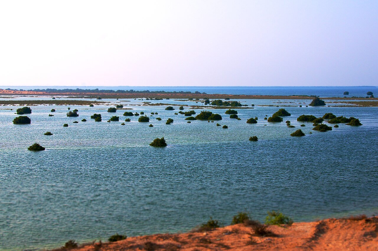 Mangrove islets scattered across the turquoise lagoon of Umm Al Quwain, seen from a red-sand shore.