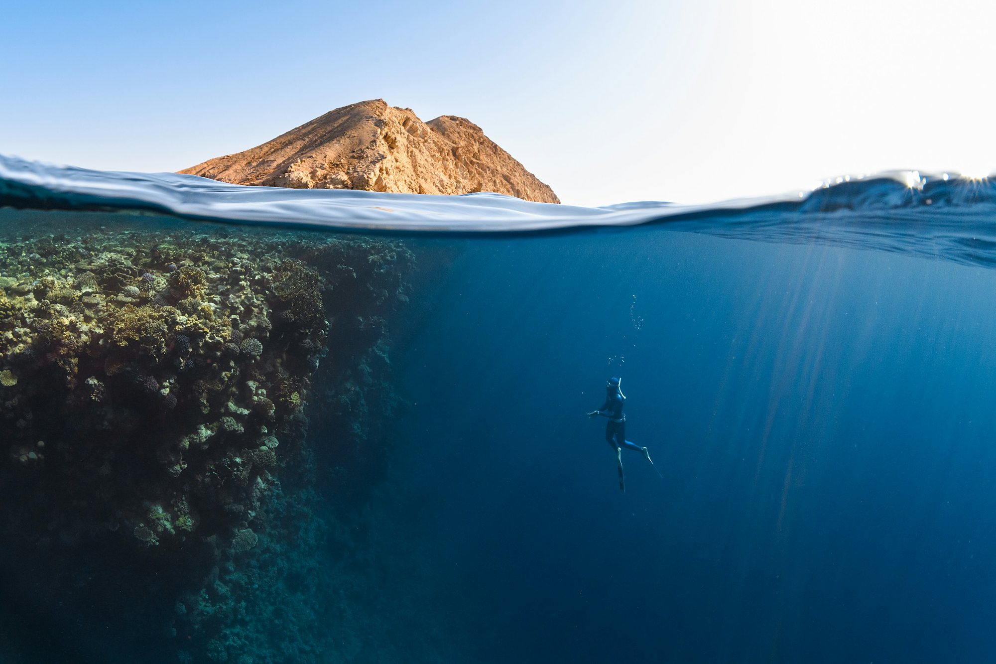 A freediver beside a coral wall below a desert peak in the Saudi Red Sea